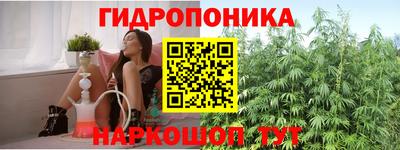 герыч Можга